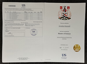 University of Sussex degree