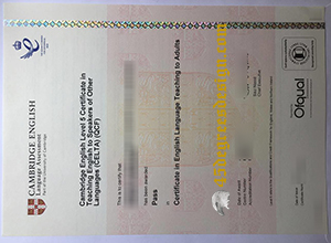 Buy fake CELTA certificate