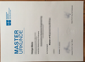 Fake HTWG Master Urkunde maker in Germany, Buy fake diploma online
