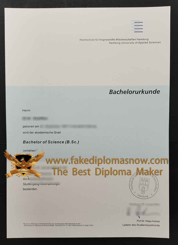 Hamburg University of Applied Sciences diploma