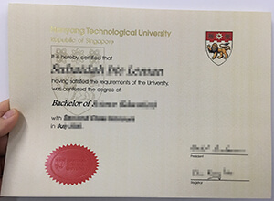 Nanyang Technological University diploma