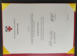 Goldsmiths, University of London diploma