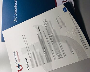 Universiteit Antwerpen diploma