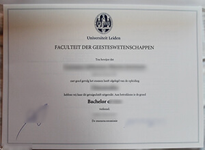 Universiteit Leiden diploma