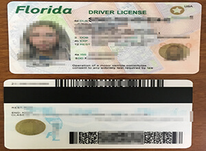 Florida driver license