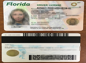 How to Buy a fake Florida driver license online?