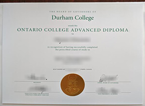 Durham College Diploma