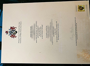 University of Wales Trinity Saint David diploma