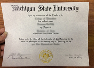 MSU diploma