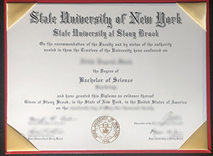 Stony Brook University diploma, SBU BSc degree