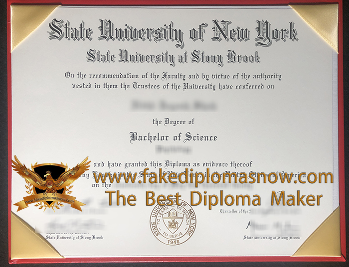 Stony Brook University diploma, SBU BSc degree