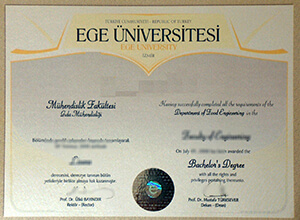 Ege University degree