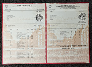 Harvard University transcript