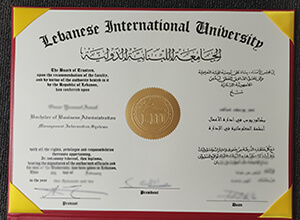 Lebanese International University diploma
