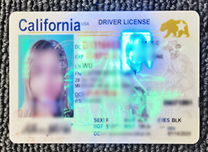 California driver's license