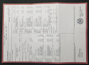 Order a fake Texas A&M University transcript, Fake diploma USA