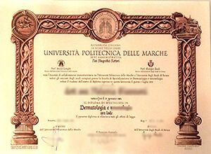 Università Politecnica delle Marche diploma sample, Buy fake diploma