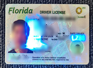 Fake Florida drivers license make, Buy fake drivers license in USA