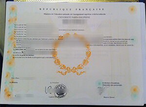 Paris Dauphine University diploma