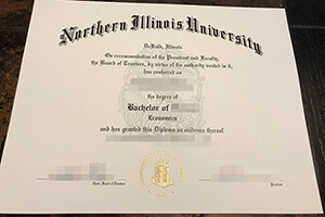 Northern Illinois University (NIU) DIPLOMA