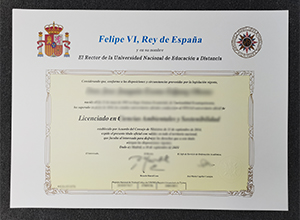 UNED diploma