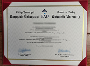 Bahçeşehir University diploma