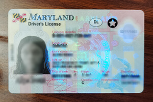 Order a fake Maryland Driver’s License with scannable details