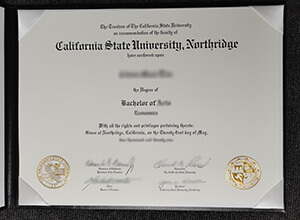 CSUN BA Degree