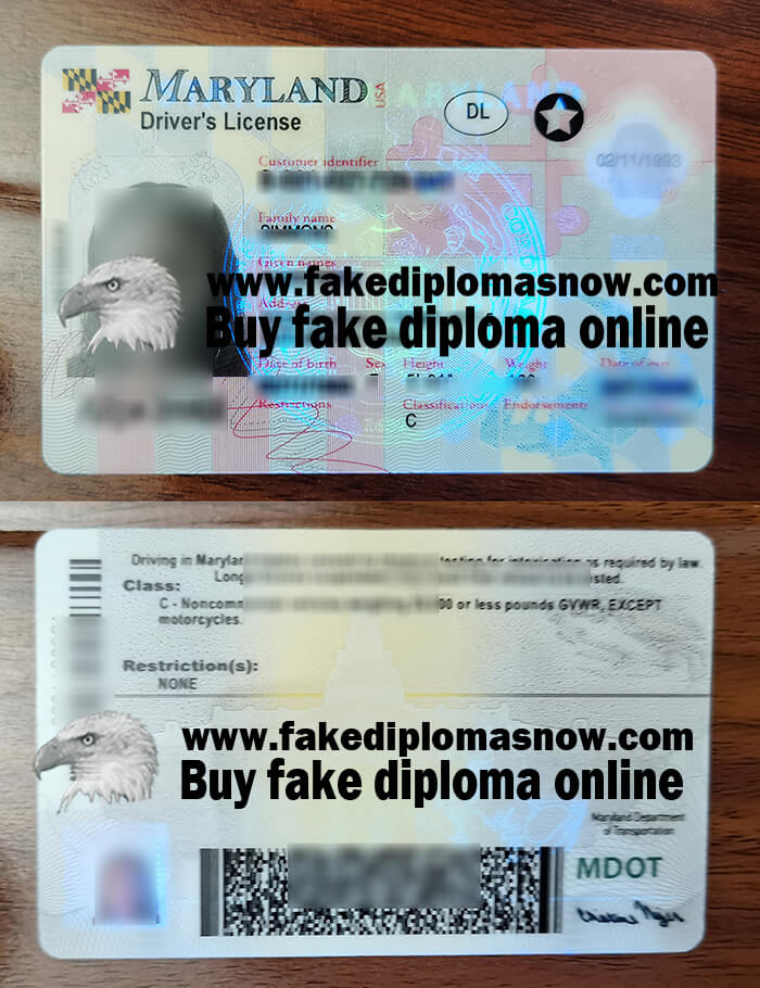 fake Maryland Driver’s License