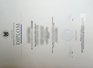 Masaryk University diploma