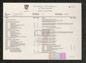 The National University of Singapore (NUS) transcript