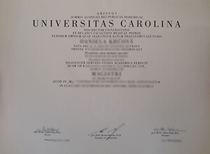 Buying a fake Charles University diploma online