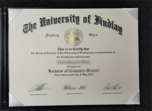 How long to get a phony University of Findlay bachelor’s degree?