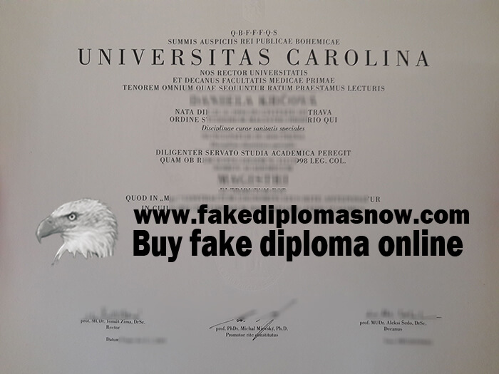 Charles University fake diploma