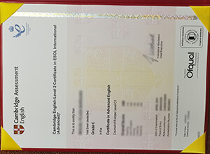 Fake Cambridge C1 Advanced Certificate that look real