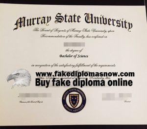 Murray State University diploma, Fake MSU degree