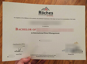 Les Roches degree, Les Roches diploma,