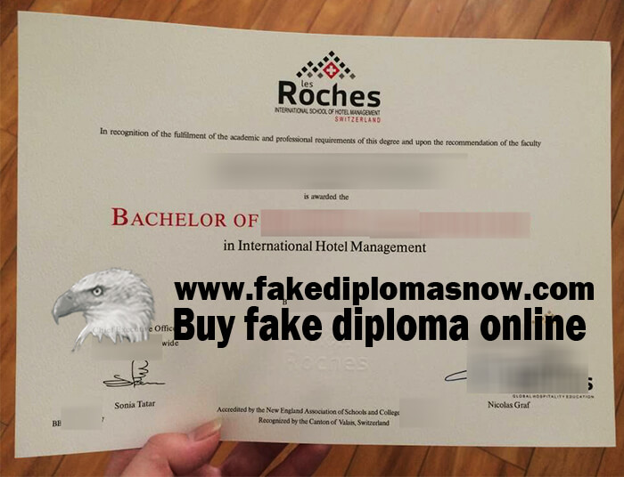 Les Roches diploma, Les Roches fake degree