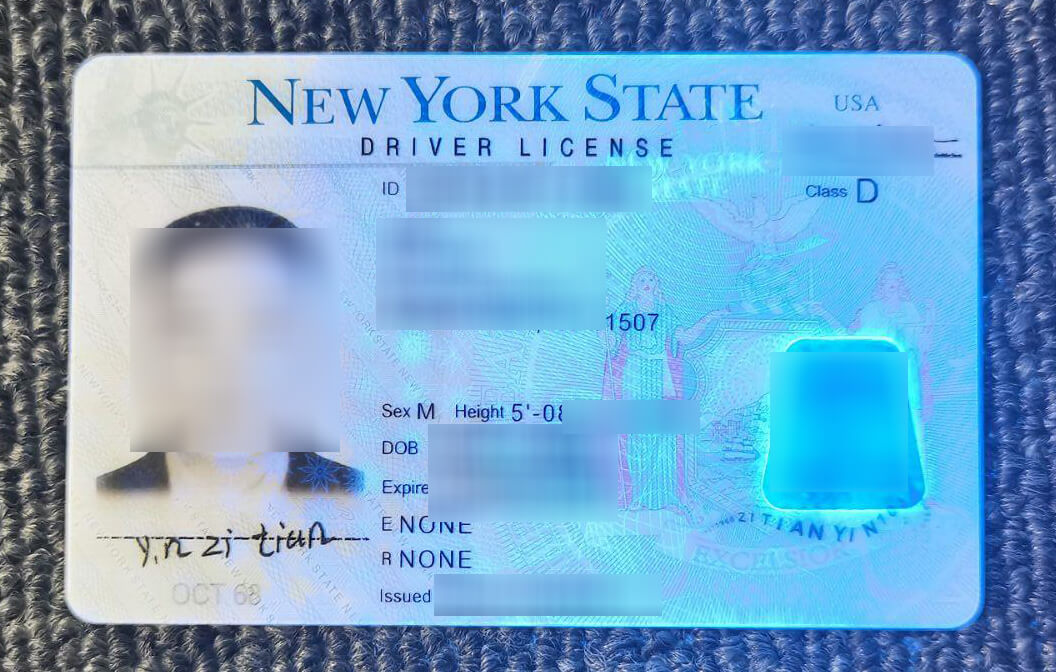 NY State Driver’s License