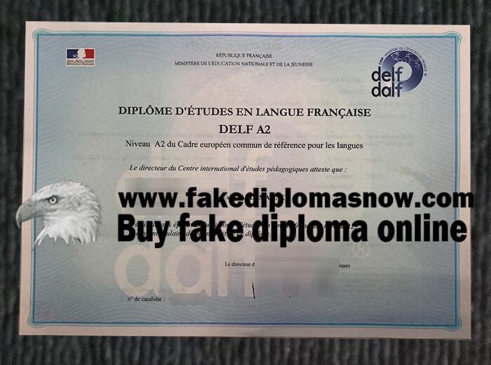  French DELF A2 diploma 