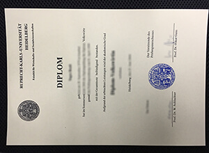 Heidelberg University diploma, Heidelberg University degree