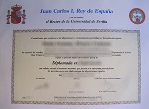 Universidad de Sevilla diploma, Universidad de Sevilla fake degree