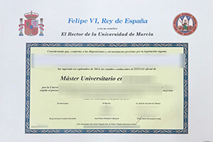 University of Rovira i Virgili diploma