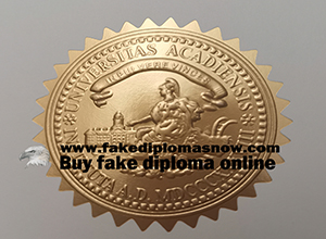 How to find a fake diploma maker?