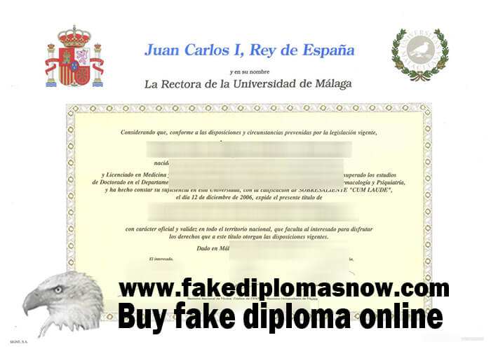 Universidad de Málaga diploma 