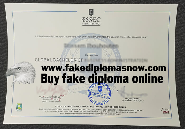 ESSEC Business School diploma, fake ESSEC Business School degree, fake ESSEC Business School certificate