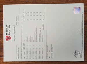 Middlesex University transcript