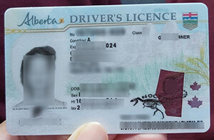 Alberta driver's licence