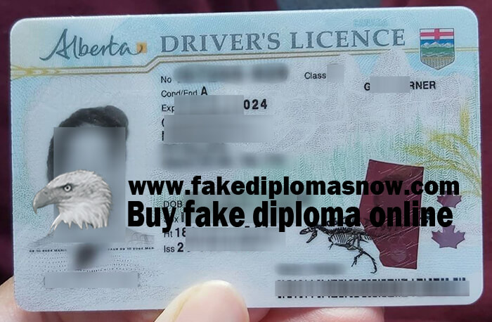 fake Alberta driver's licence
