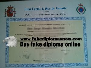 fake Universidad Rey Juan Carlos diploma, URJC fake degree